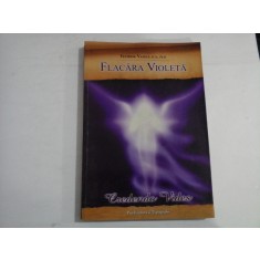 FLACARA VIOLETA - TEODOR VASILE