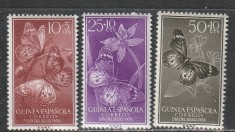 Guinea Spaniola 1958 - Fluturi 3v MNH foto