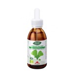 Extract de Ginkgo Biloba Bio 50ml Phyto Biopole