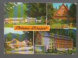 CPIB 17303 CARTE POSTALA - POIANA BRASOV, MOZAIC, Circulata, Fotografie