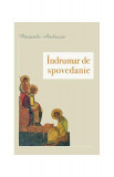 &Icirc;ndrumar de spovedanie - Paperback brosat - Ambrozie Iurasov - Sophia