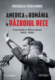 Cumpara ieftin America si Romania in Razboiul Rece