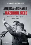 America si Romania in Razboiul Rece - Litera
