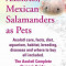 Axolotls, Mexican Salamanders as Pets. Axolotls Care, Facts, Diet, Aquarium, Habitat, Breeding, Diseases and Where to Buy All Included. the Axolotl Co