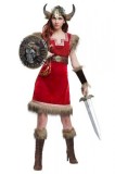 E629-3 Costum tematic, model Viking