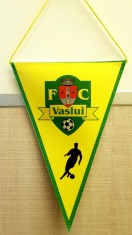 Fanion FC Vaslui foto