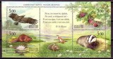 RUSIA 2005 FAUNA ANIMALE PASARI SI FLUTURI, Nestampilat