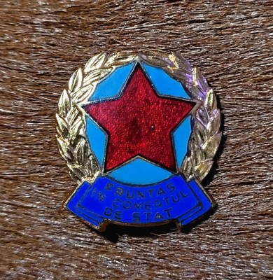 Insigna Fruntas in Comertul de Stat RPR Rara foto