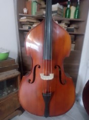 V&amp;acirc;nd contrabas foto