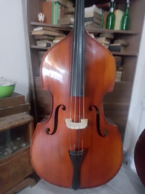 V&amp;acirc;nd contrabas foto
