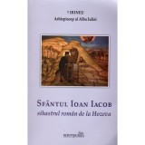 Sfantul Ioan Iacob sihastrul roman de la Hozeva - Irineu, arhiepiscop al Alba Iuliei