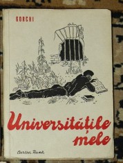 M. Gorchi - Universitatile mele foto