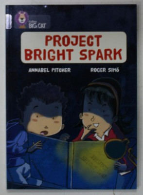 PROJECT BRIGHT SPARK by ANNABEL PITCHER and ROGER SIMO , 2013 foto