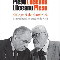 Dialoguri de duminică - Paperback brosat - Gabriel Liiceanu, Andrei Pleșu - Humanitas