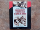 PLASTIA RECONSTRUCTIVA A DEFECTELOR FACIALE CU LAMBOURI DIN VECINATATE BUCURESTI 2002 -DR.RADU MARINESCU
