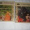 Din Lirica De Dragoste A Lumii - 2 volume - B P T ,1987, Carte Noua