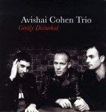 Gently Disturbed - Vinyl | Avishai Cohen, Jazz