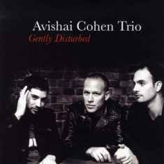 Gently Disturbed - Vinyl | Avishai Cohen