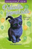 Cumpara ieftin Pisicuta fermecata. Invitatie la circ/Sue Bentley