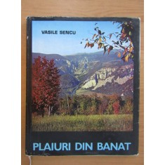 Vasile Sencu - Plaiuri din Banat. Album (1983, editie cartonata, cu autograf)