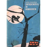 Zwischenspiel im Mondschein