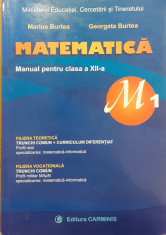 Matematica manual pentru clasa a XII-a M1 foto