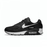 Pantofi Sport Nike WMNS AIR MAX 90 NN