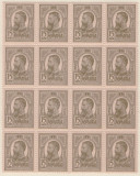 RO-184-ROMANIA 1909-TIPOGRAFIATE-L:p 63F-bloc de 16 timbre nestampilate MNH, Nestampilat