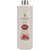 Ulei de masaj Rodie - 500 ml + dozator