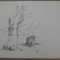 Peisaj// desen original Vasile Olac