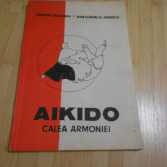 SERBAN DERLOGEA--AIKIDO - CALEA ARMONIEI karate