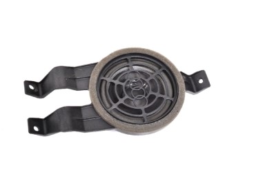 Difuzor ușă dreapta față AUDI R8 422, 423 2010 OEM: 420035411C 11737756 foto