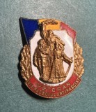 Insigna Veteran din razboiul antifascist