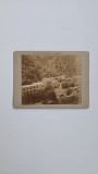 Fotografie de colectie CDV Atelier ?, Peisaj din Baile Herculane, Cazinoul si parcul, Romania, Austro-Ungaria, ca. 1880-85