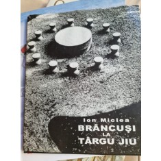 Ion Miclea - Brancusi la Targu Jiu