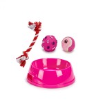 Set 1 x castron si 3 jucarii pentru caini, 25,8 x 25,8 x 7,5 cm, Magenta