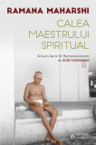 Calea Maestrului Spiritual | Suri Nagamma