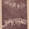 Baile Herculane vedere generala CP circulata ND(1948)