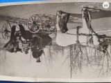 fotografie veche , distinsa doamna intr o plimbare cu sareta la mosie , anii 1920, Romania Regala