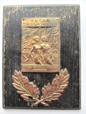 Placheta, Metal pe lemn. Romania 1948 - Cupa Unitatii Tineretului foto