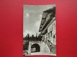 CARTE POSTALA - RSR - VEDERE DIN PALTINIS
