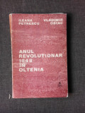 Anul revolutionar 1848 in Oltenia - Ileana Petrescu, Vladimir Osiac