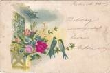 Felicitare cu flori in relief si pasari asezate pe o creanga (circulata 1901)