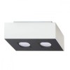 Lampă De Tavan Mono Alb-Negru Oțel 2 Becuri Dreptunghiulare Minimalistă De Interior