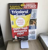 Revista Evenimentul Istoric Nr. 34 (11 decembrie 2020 - 22 ianuarie 2021)