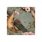 Sticker decorativ, Paun, Maro, 55 cm, 6485ST