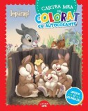 Disney: Iepurasi. Cartea mea de colorat cu autocolante - Litera