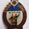 Al VII lea Concurs artistic de amatori insigna SUPERBA, email la cald, anul 1964