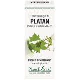 Extract Muguri Platan 50ml PlantExtrakt