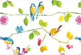 Watercolor Birds Note Cards [With 15 Envelopes]